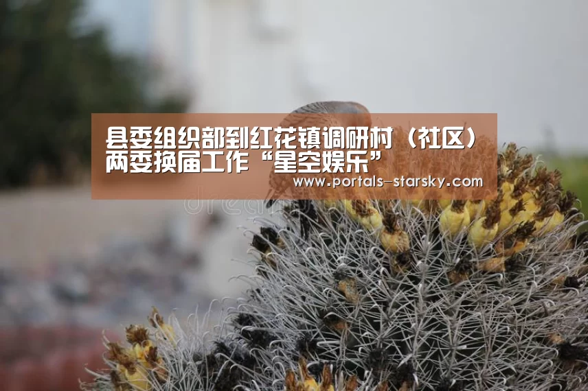 星空娱乐